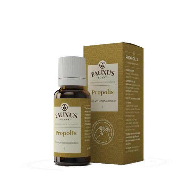 Propolisová tinktúra 20ml