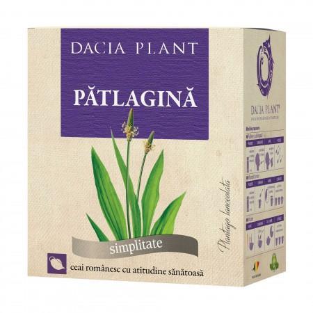 Skorocel kopijovitý - Plantago lanceolata 50g