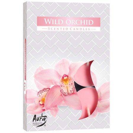 Vonné čajové sviečky Wild orchid 6ks