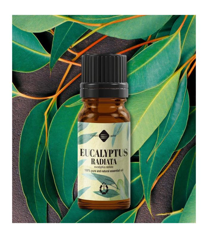 Esenciálny olej Eukalyptus Radiata 10ml