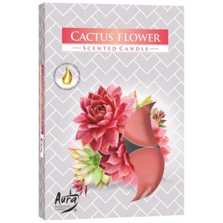 Vonné čajové sviečky Cactus flower 6ks
