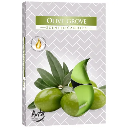 Vonné čajové sviečky Olive grove 6ks