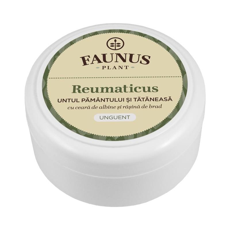 Masť Reumaticus 50ml