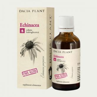Echinacea purpurová - Echinacea purpurea tinktúra 50ml