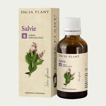 Šalvia lekárska - Salvia officinalis tinktúra 50ml